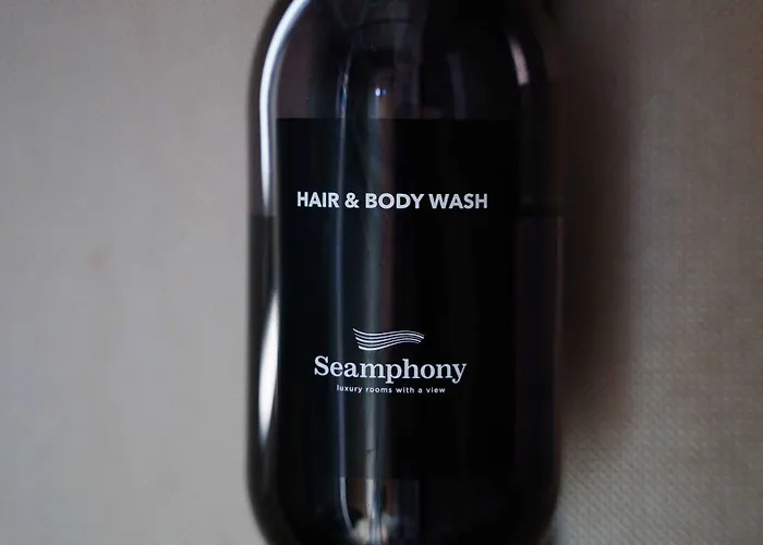 Welcomely - Seamphony Olbia